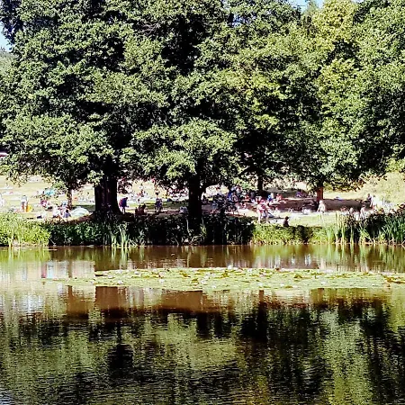 Direkt Am Mobilheim Am Schoensee Kemp Urnshausen