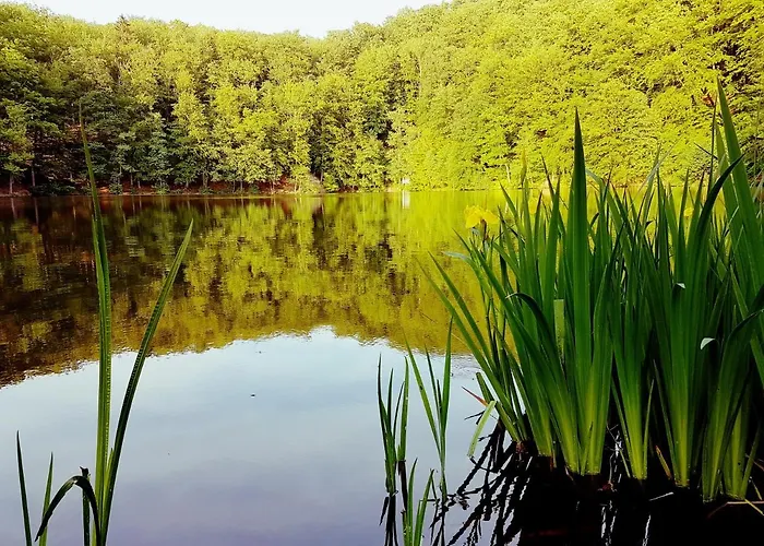 Direkt Am Mobilheim Am Schoensee *